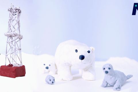 Miniature de L’ours polaire, menacé par l’homme avant le changement climatique