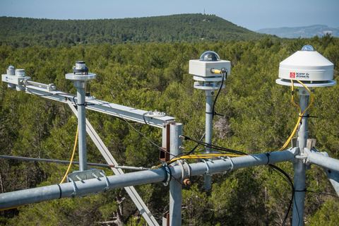 Miniature de Mieux anticiper les incendies grâce à l'étude des végétaux