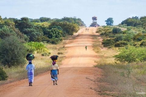 Miniature de Pour lutter contre la famine, l’ONU versera 1,39 milliard de dollars à six pays africains