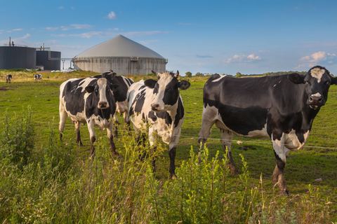 Miniature de Le méthane : entre taxe, fuites et détection par satellite - Natura Sciences