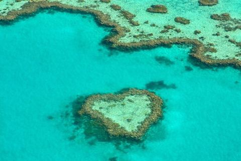 Miniature de Climat : 98% de La Grande Barrière de corail frappée par le blanchissement