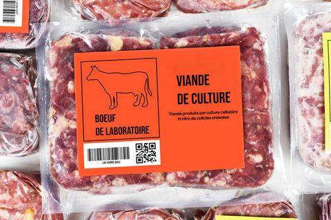 Miniature de La France bientôt dans la course à la viande fabriquée en laboratoire ?