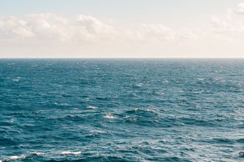 Miniature de En 2021, 3 fois plus de migrants ont été secourus au large de Calais