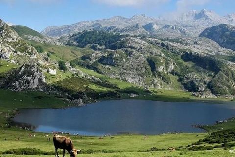 Miniature de Les lacs "purs" des Pyrénées pollués par des molécules chimiques